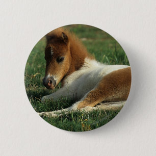 Badge Rond 5 Cm Fixation miniature de poulain