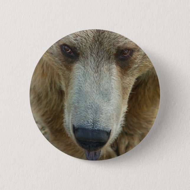 Badge Rond 5 Cm Flair de l'ours (Devant)
