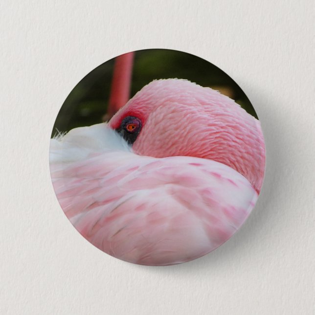 Badge Rond 5 Cm Flamant rose (Devant)