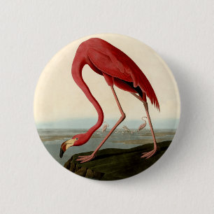 Badge Rond 5 Cm Flamant rose américain Audubon