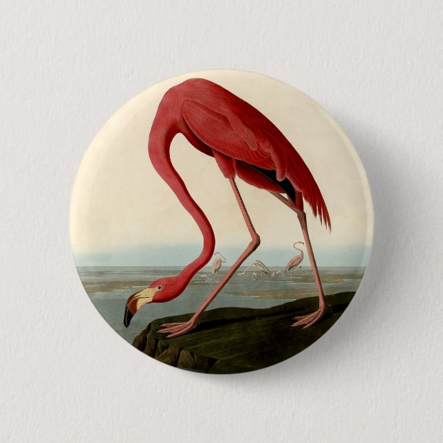 Badge Rond 5 Cm Flamant rose américain Audubon (Devant)
