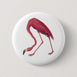 Badge Rond 5 Cm Flamant rose rose
