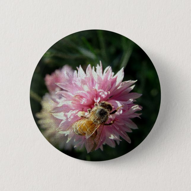 Badge Rond 5 Cm Fleur d'abeille et rose (Devant)