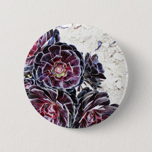 Badge Rond 5 Cm Fleur d'Aeonium sur les roches sèches (Devant)