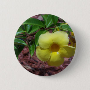 Badge Rond 5 Cm Fleur d'Alamanda jaune