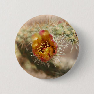 Badge Rond 5 Cm Fleur de cactus de Cholla