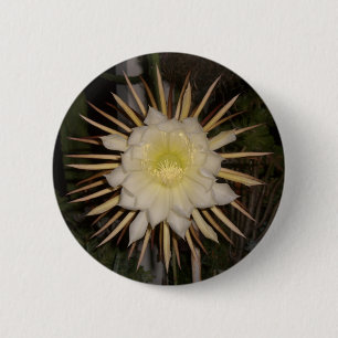 Badge Rond 5 Cm Fleur de cactus "Reine de la nuit"