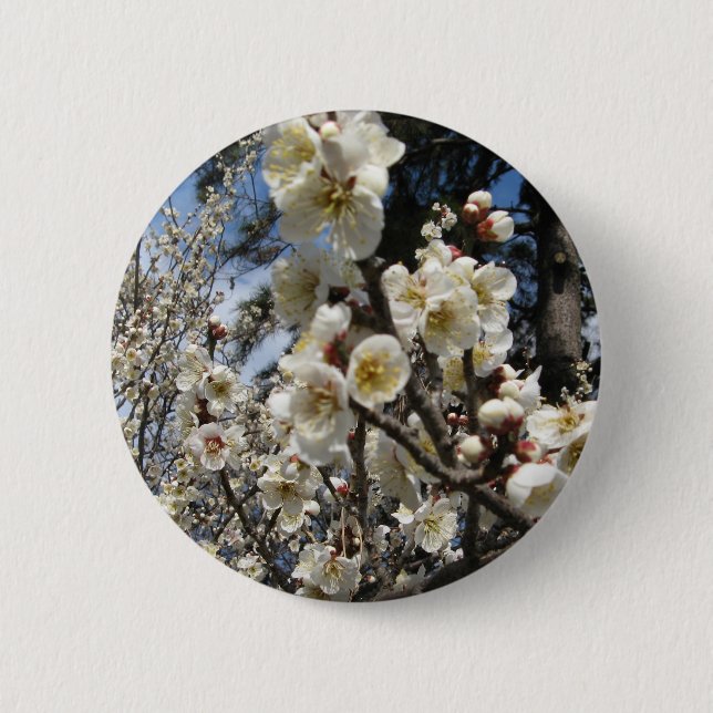 Badge Rond 5 Cm Fleur de cerisier blanc / Sakura / ク(桜) (Devant)