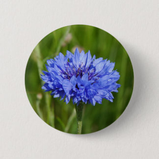 Badge Rond 5 Cm Fleur de Cornouailles bleu unique en vert anglais
