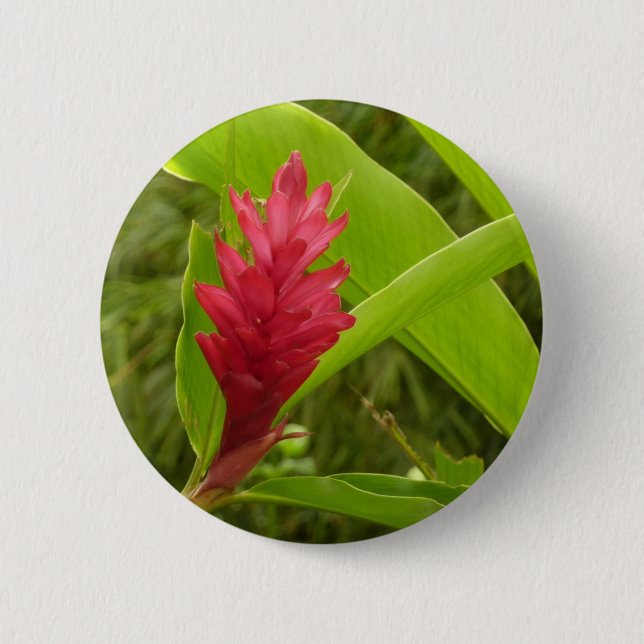 Badge Rond 5 Cm Fleur de gingembre rouge (Alpinia) tropicale (Devant)