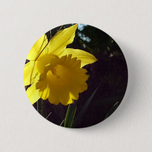 Badge Rond 5 Cm fleur de jonquille jaune au soleil