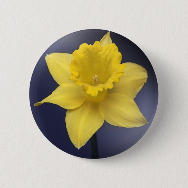 Badge Rond 5 Cm Fleur de Narcisse jaune peinture à l'aquarelle flo (Devant)