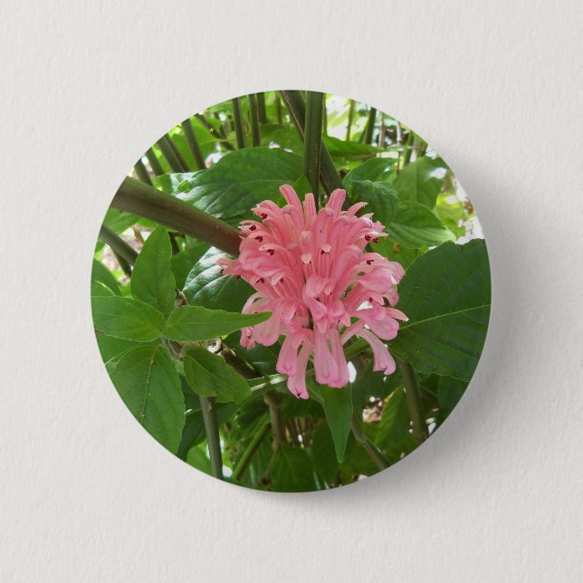 Badge Rond 5 Cm fleur en panache brésilienne (Devant)