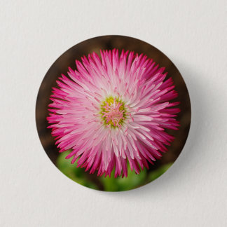 Badge Rond 5 Cm Fleur marguerite - Bouton
