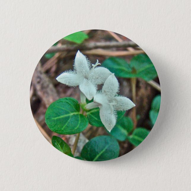Badge Rond 5 Cm Fleur sauvage Berry Partridge (Devant)