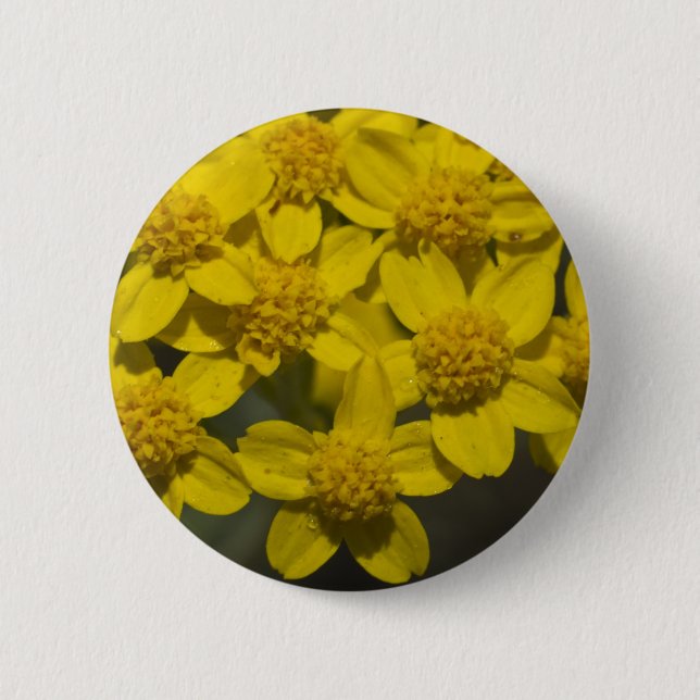 Badge Rond 5 Cm Fleur sauvage jaune (Devant)