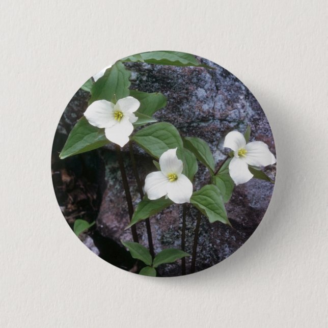 Badge Rond 5 Cm fleurs blanches de Trillium (Devant)