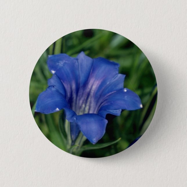 Badge Rond 5 Cm Fleurs bleues de gentiane (Devant)