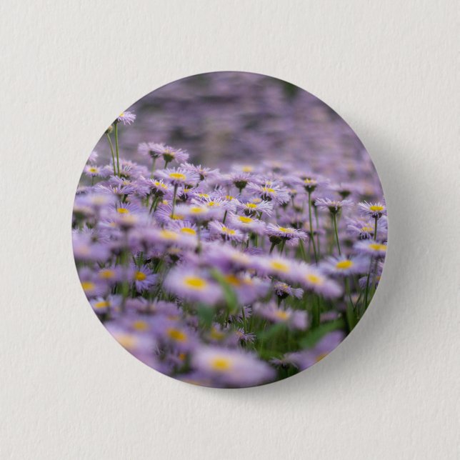 Badge Rond 5 Cm Fleurs d'aster violet (Devant)