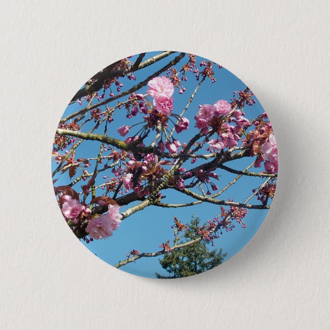 Badge Rond 5 Cm fleurs de cerisier (Devant)