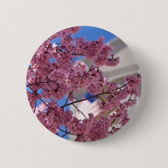 Badge Rond 5 Cm Fleurs de cerisier Sakura Americana (Devant)