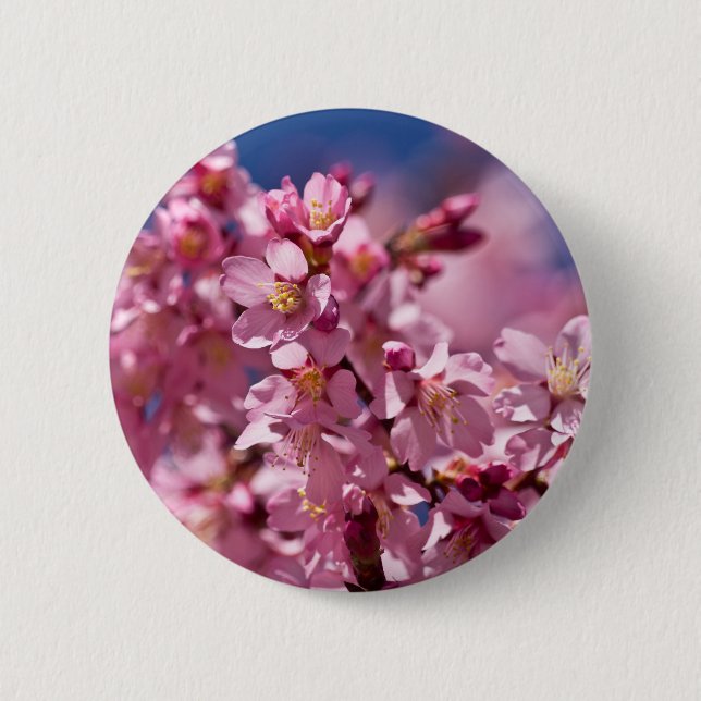 Badge Rond 5 Cm Fleurs de cerisier Sakura embrassées par la lumièr (Devant)