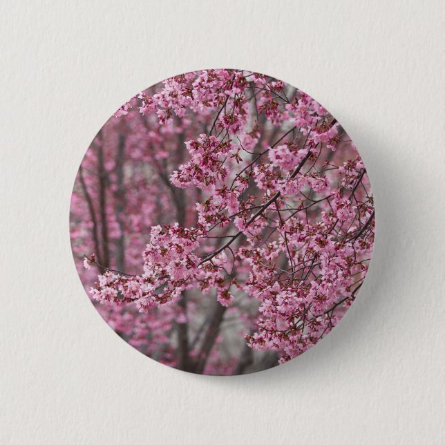 Badge Rond 5 Cm Fleurs de cerisier Sakura rose flottant (Devant)