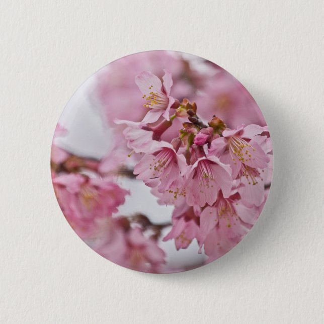 Badge Rond 5 Cm Fleurs de cerisier Sakura rose pâle (Devant)