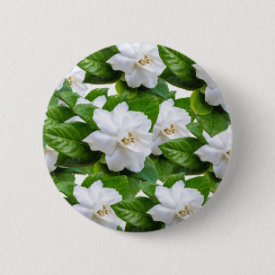 Badge Rond 5 Cm Fleurs de Gardenia blanches