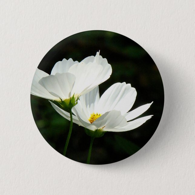 Badge Rond 5 Cm Fleurs de marguerite de cosmos (Devant)