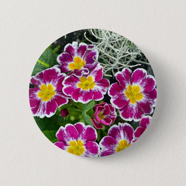 Badge Rond 5 Cm Fleurs de primrose violet et jaune (Devant)