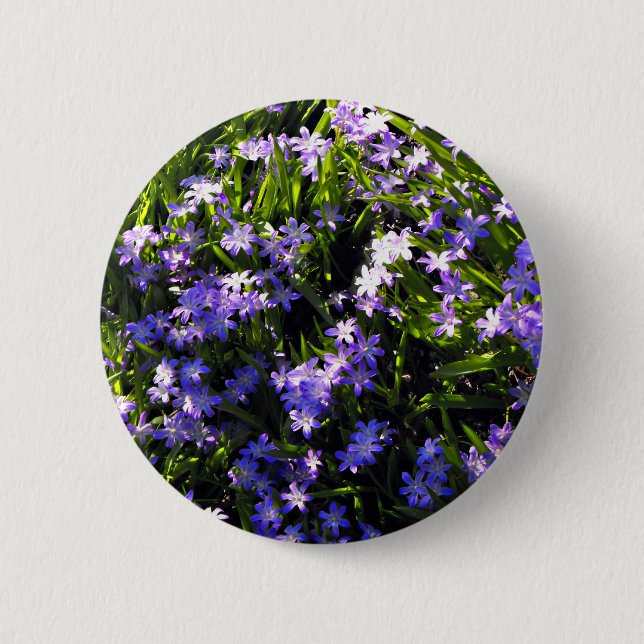 Badge Rond 5 Cm Fleurs de printemps de Squill Bleu (Devant)