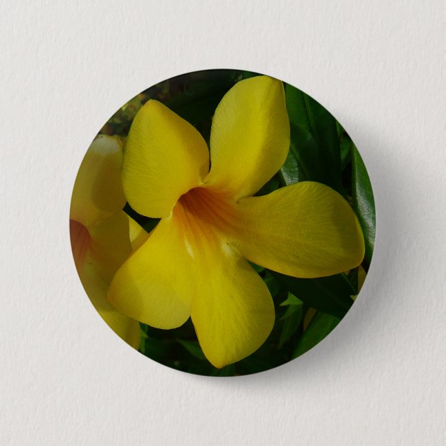 Badge Rond 5 Cm Fleurs de trompette d'or II Tropical (Devant)