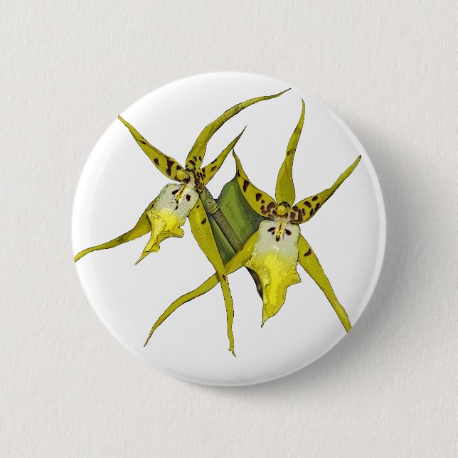 Badge Rond 5 Cm Fleurs d'orchidée (Devant)