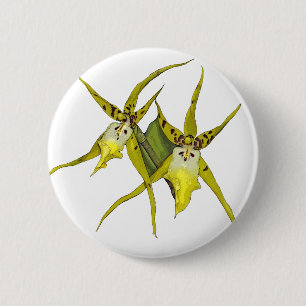 Badge Rond 5 Cm Fleurs d'orchidée