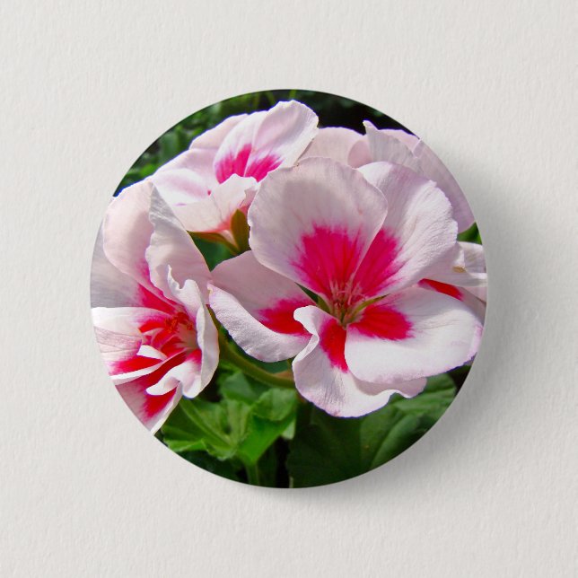 Badge Rond 5 Cm Floral de géranium rose et rouge (Devant)