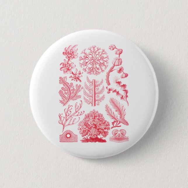 Badge Rond 5 Cm Florideae (Devant)