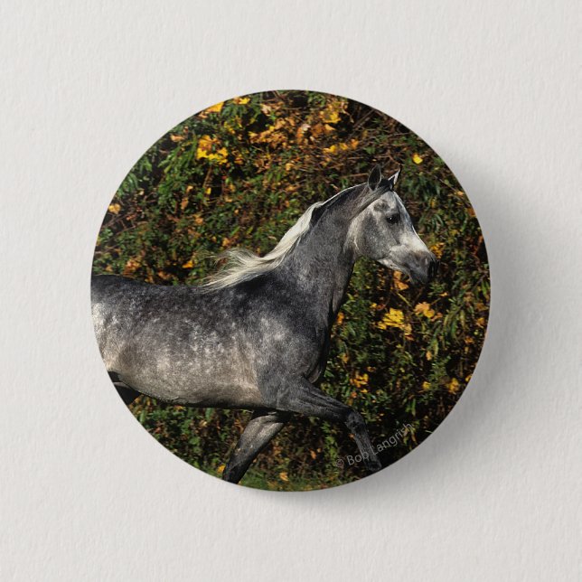 Badge Rond 5 Cm Fonctionnement d'Arabes : Automne (Devant)