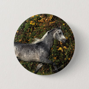 Badge Rond 5 Cm Fonctionnement d'Arabes : Automne
