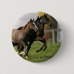 Badge Rond 5 Cm Fonctionnement de poulain