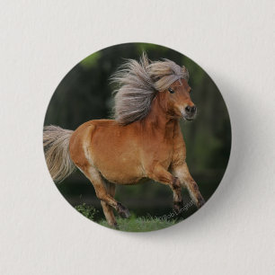 Badge Rond 5 Cm Fonctionnement miniature de cheval