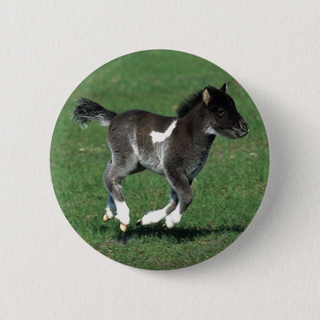Badge Rond 5 Cm Fonctionnement miniature de poulain (Devant)