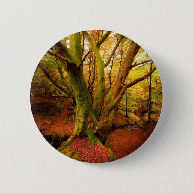 Badge Rond 5 Cm Forêt d'automne (Devant)