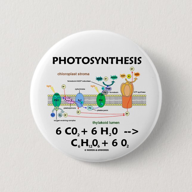 Badge Rond 5 Cm Formule de photosynthèse (produit chimique) (Devant)