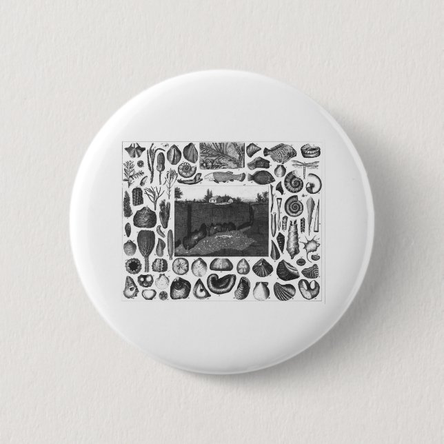 BADGE ROND 5 CM FOSSILES (Devant)