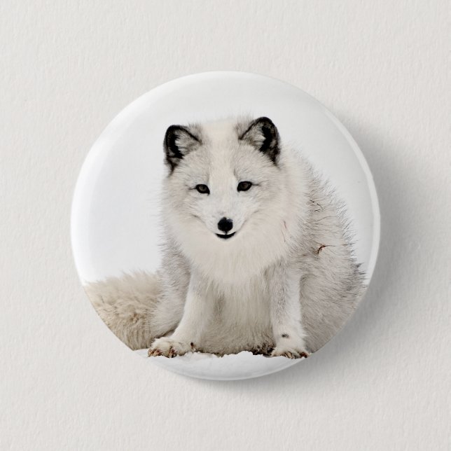 Badge Rond 5 Cm Fox arctique dans la neige (Devant)