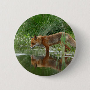 Badge Rond 5 Cm Fox dans l'étang