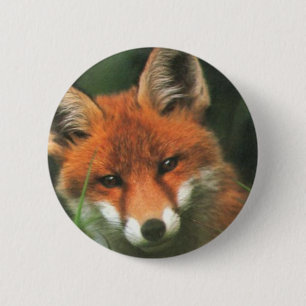 Badge Rond 5 Cm Fox rouge