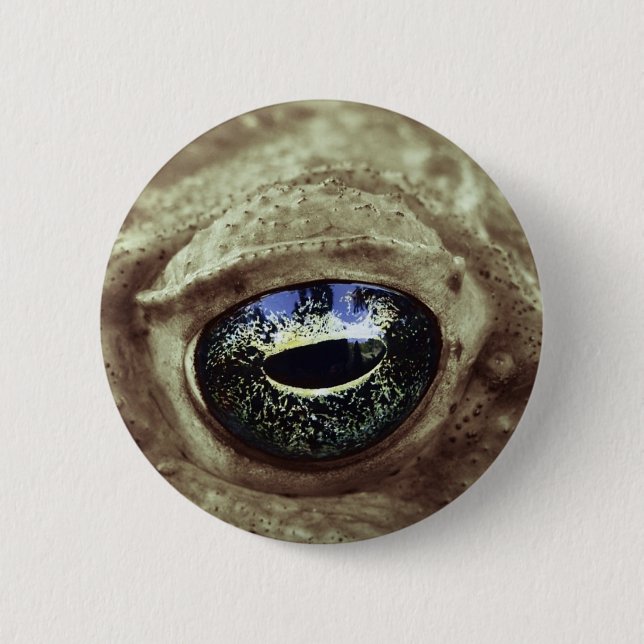 Badge Rond 5 Cm frogi (Devant)
