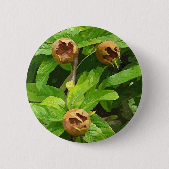 BADGE ROND 5 CM FRUIT MODLAIRE (Devant)